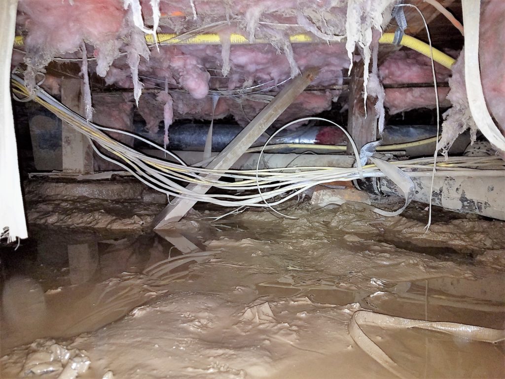 Bloom Crawl Space, bad crawl space, dirty crawl space, Bloom Home Services